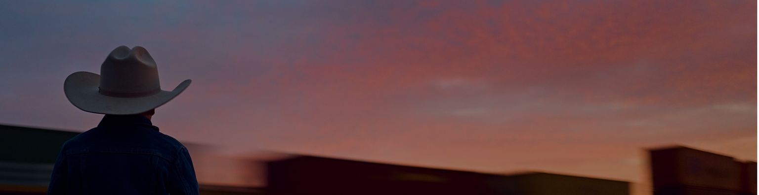 A person in a cowboy hat and denim jacket stands on a dirt path, watching a freight train pass by at sunset.