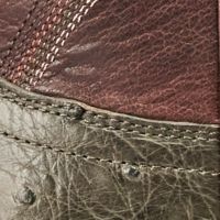 View of The Wyatt - Dark Forest Ostrich
