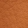 The product color Tan