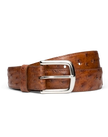 Front view of Men's Ostrich Belt II - Pecan on plain background