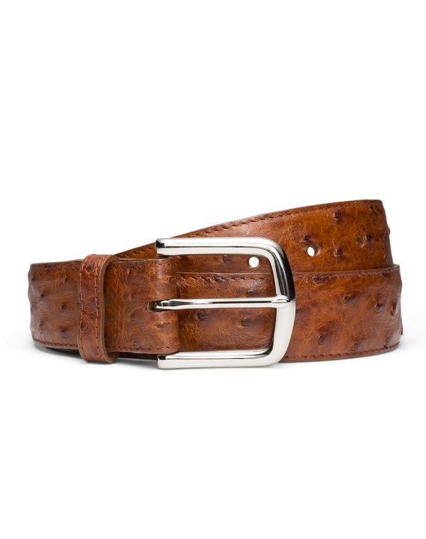 Front view of Men's Ostrich Belt II - Pecan on plain background