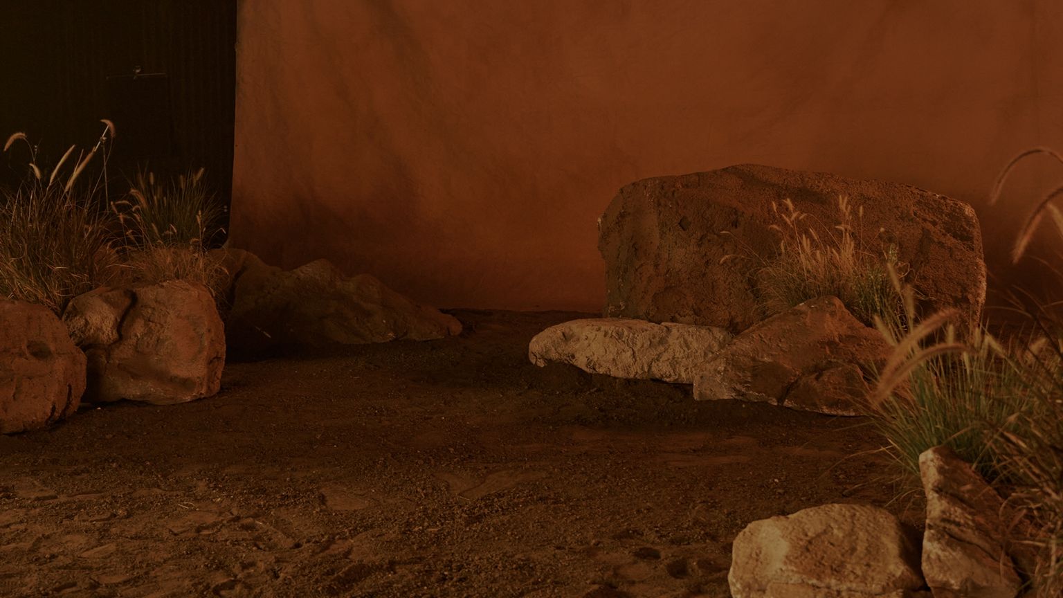 A dimly lit scene featuring large rocks, dry grass, and dirt, with a brown backdrop creating a desert-like environment.