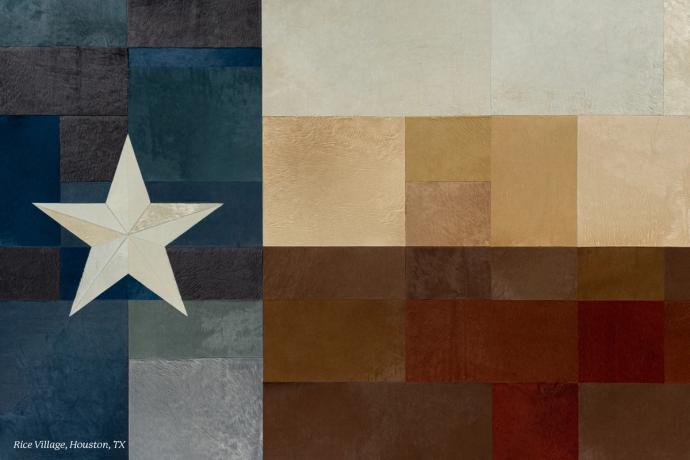 mural of texas flag