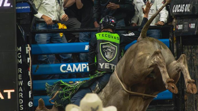 Man riding a bull