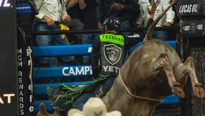 Man riding a bull
