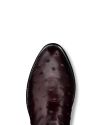 Toe view of The Wyatt - Black Cherry Ostrich on plain background