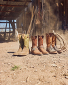 Four pairs of cowboy boots and a lasso on dusty ground in front of a rustic wooden structure.