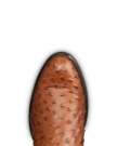 Toe view of The Wyatt II - Pecan Ostrich on plain background