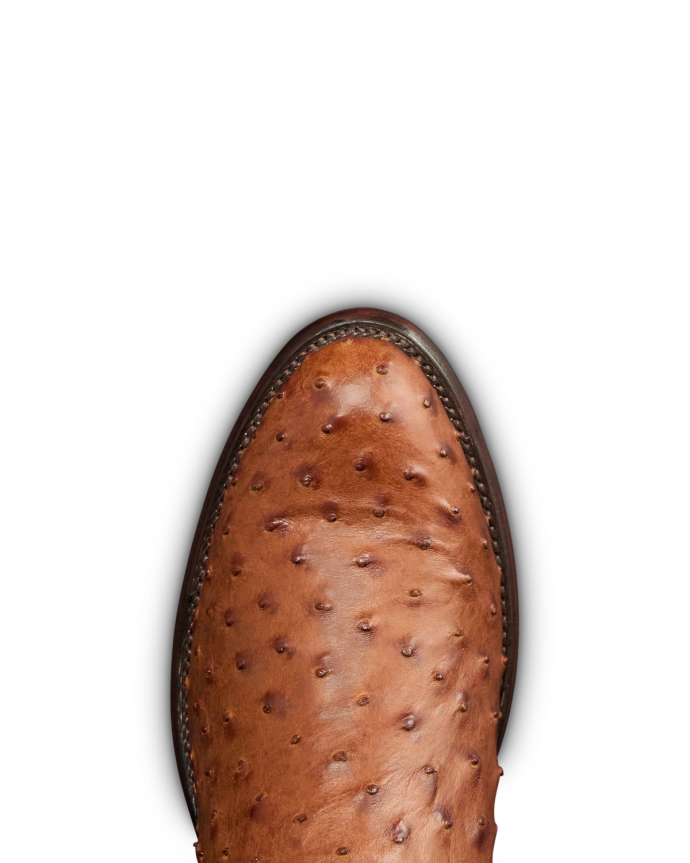 Toe view of The Wyatt II - Pecan Ostrich on plain background