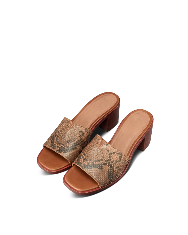 Pair view of The Carmen Paloma - Saddle on plain background