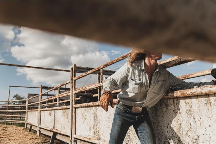 a man reaching behind a cattle fence