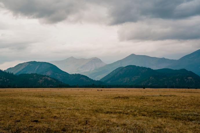 a field with mountains in the background