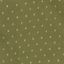 Men's Star Stitch Pearl Snap