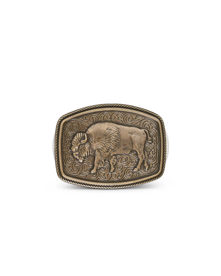 Front view of Bison Buckle - Antique Brass on plain background