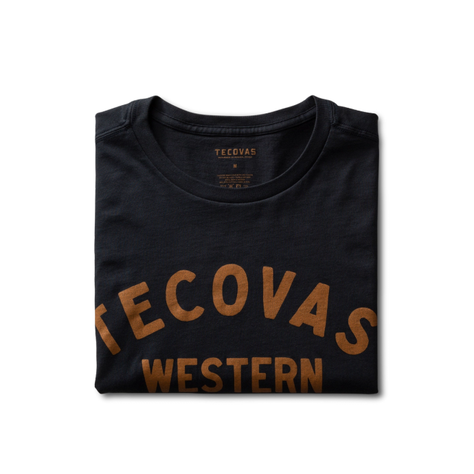 Folded view of the tecovas western t shirt on a plain background