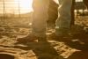 Close-up of legs in faded jeans and brown cowboy boots standing in sunlit dirt.