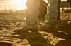 Close-up of legs in faded jeans and brown cowboy boots standing in sunlit dirt.