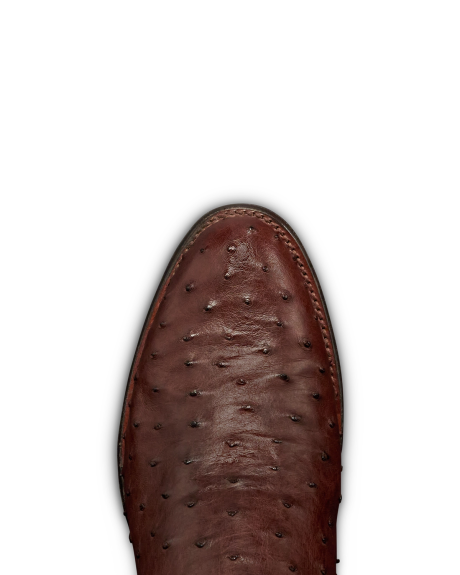 Toe view of The Duke - Hazelnut Ostrich on plain background