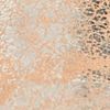 The product color Platino