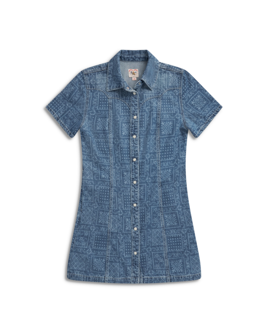 pearl snap denim dress The Annie Dress