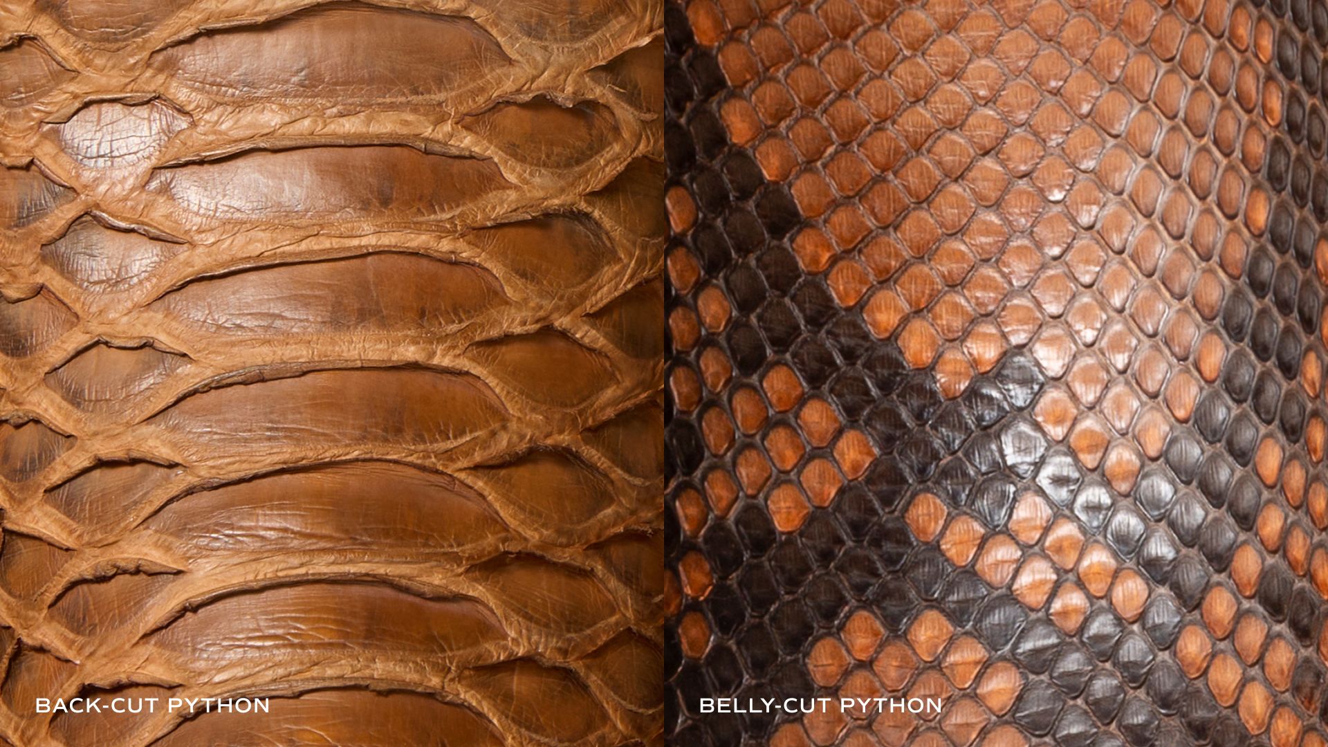 Close up image of Back-cut and Belly-cut Python leather.