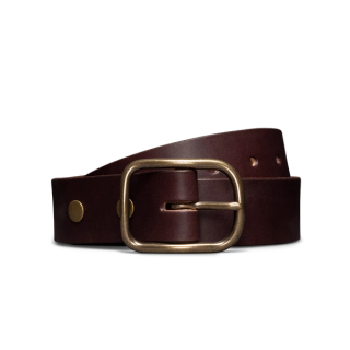 Front view of Harness Leather Belt - Umber on plain background