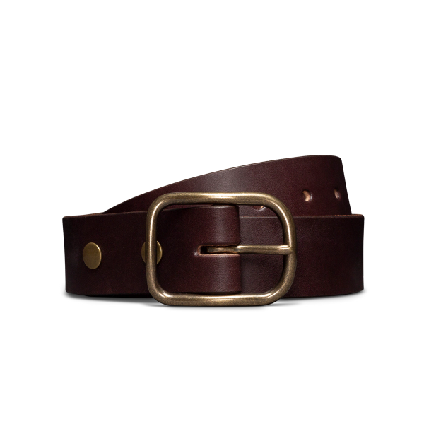Front view of Harness Leather Belt - Umber on plain background