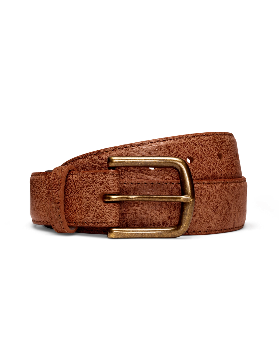 Front view of Men's Smooth Ostrich Belt II - Russet on plain background