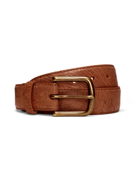 Front view of Men's Smooth Ostrich Belt II - Russet on plain background