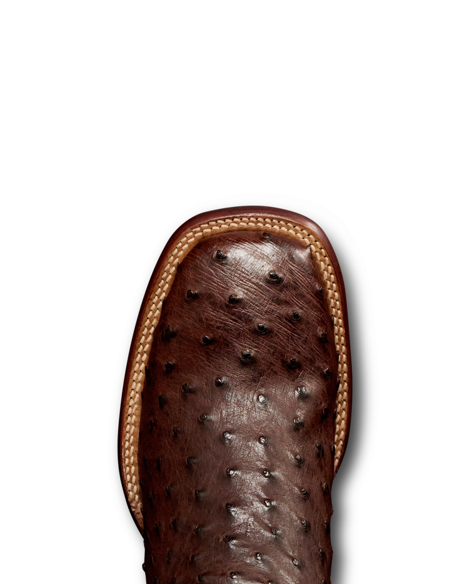 Toe view of The Emmitt II - Tobacco Ostrich on plain background