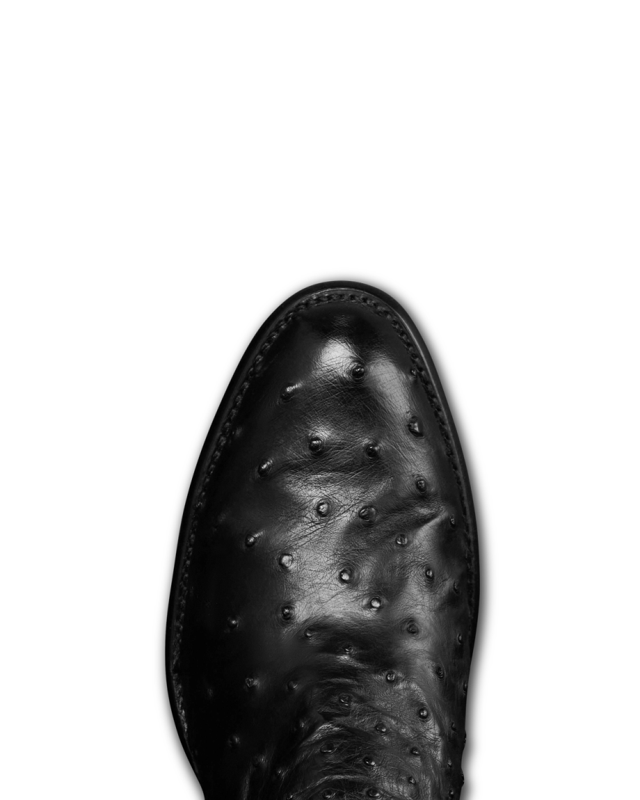 Toe view of The Dean - Midnight on plain background