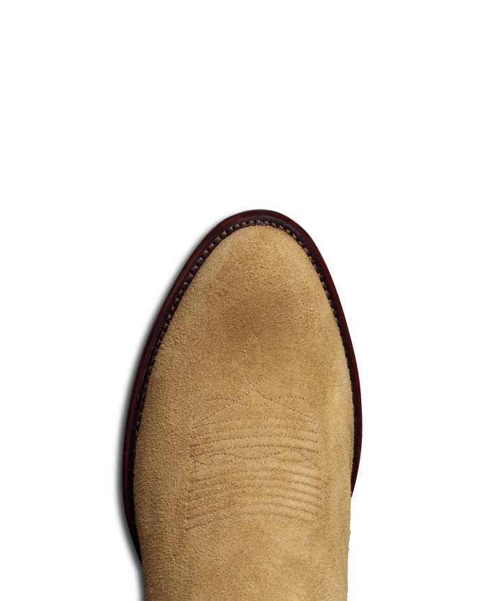 Toe view of The Johnny - Camel on plain background