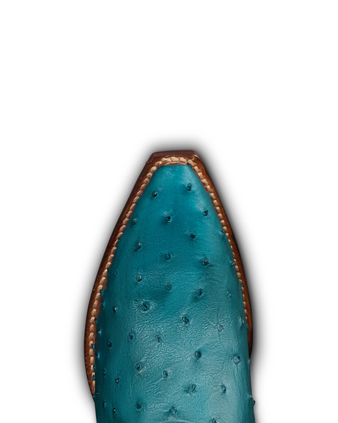Toe view of The Loretta - Azure Ostrich on plain background