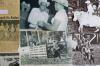 a collage of newspaper clippings, black and white photographs of cowboys in a rodeo