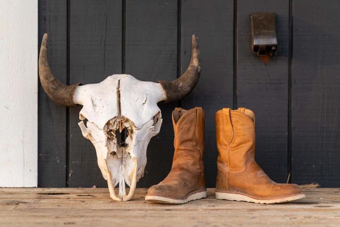 bison skull and work boots