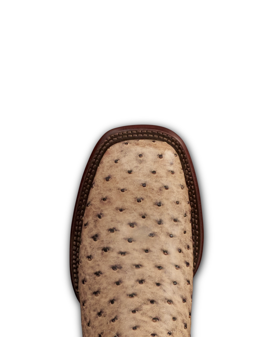 Toe view of The Emmitt - Birch Ostrich on plain background