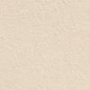 The product color Bone