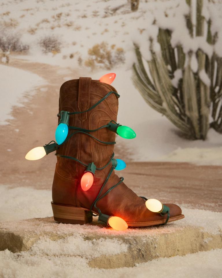 Brown cowboy boot wrapped around by Christmas light.
