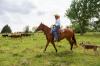 cowboy on a horse