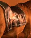 A brown horse with a decorative cloth draped over its back, featuring a silhouette of a cowboy riding a horse against a sunset background.