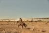 A rider gallops a horse across open desert as a passenger train passes in the distance.