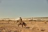 A rider gallops a horse across open desert as a passenger train passes in the distance.