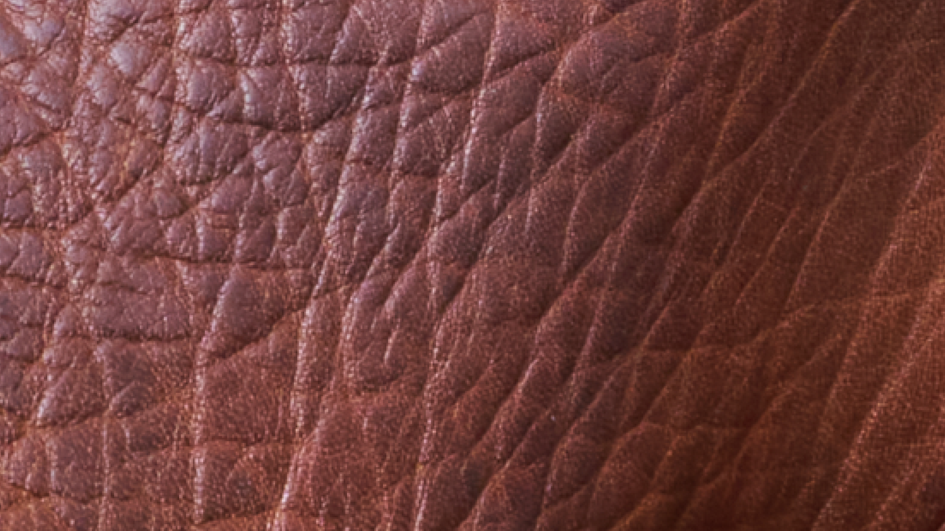 A close up picture of the Shrunken Calkskin material