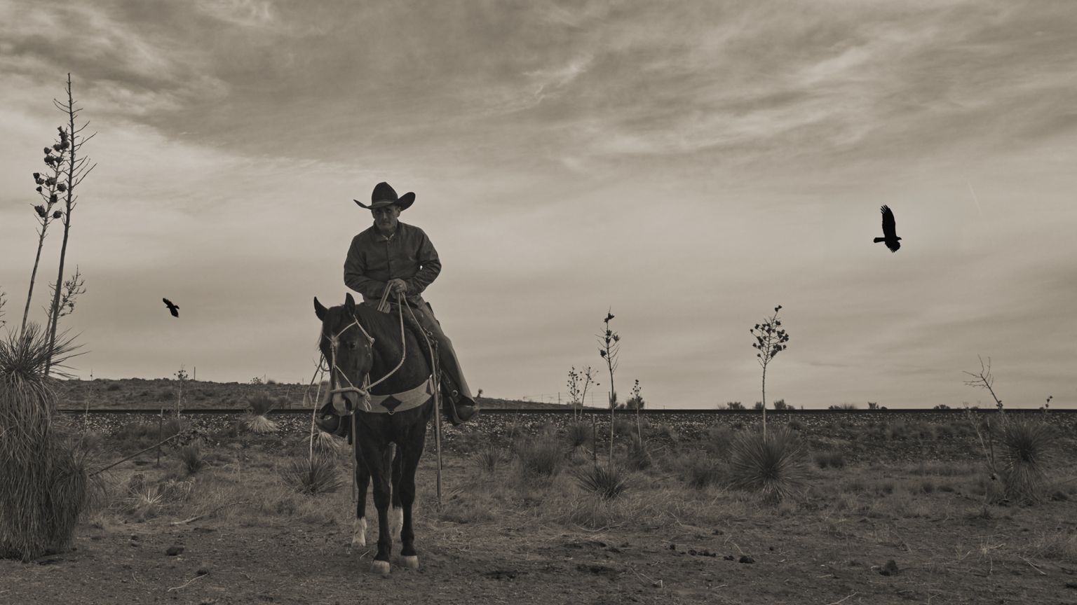 A person wearing a cowboy hat rides a horse in a dry landscape with sparse vegetation and birds flying in the cloudy sky.