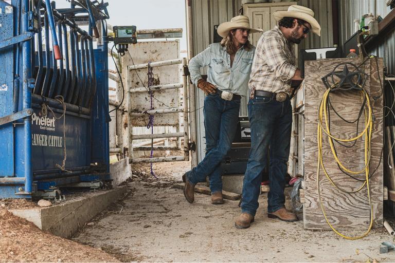 two men working on a ranch
