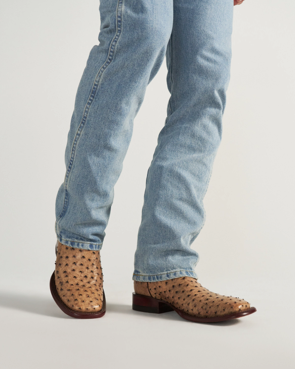 View of The Emmitt - Birch Ostrich