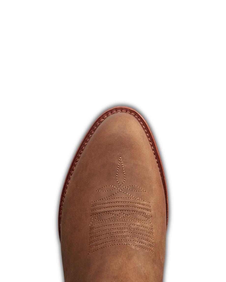 Toe view of The Buck - Acorn Goat on plain background