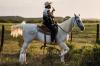 man on a white horse playing guitar