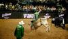 Man riding a bull in an arena 