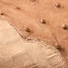 The product color Dune